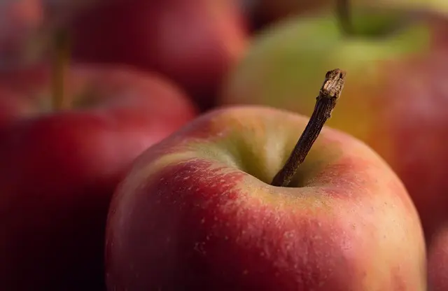 Guide d'achat : Meilleures offres beauté bio